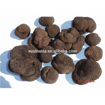 IQF truffles